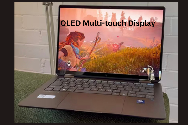 OLED Multi-touch Display